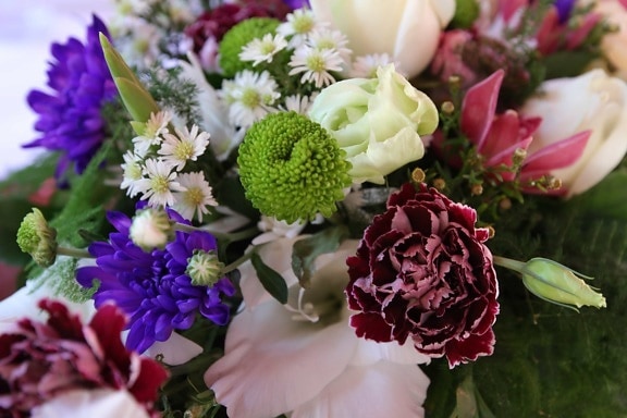 bouquet, décoratifs, romance, arrangement, fleur, amour, décoration, Rose, feuille, cluster