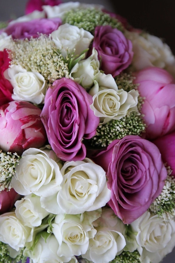 láska, růže, romantika, dekorace, květ, kytice, okvětní lístek, zapojení, romantický, uspořádání