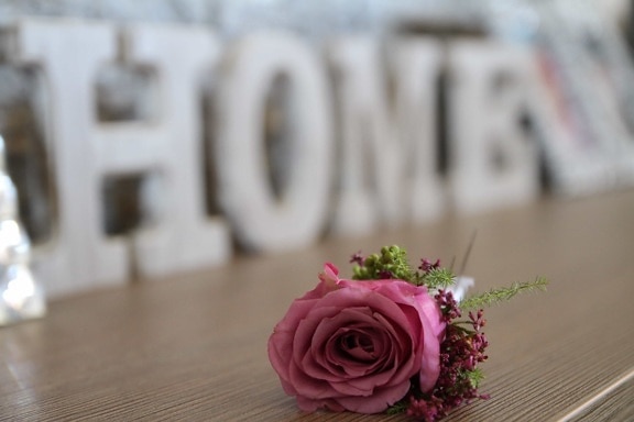 domů, design interiéru, Obývací pokoj, uspořádání, láska, dekorace, růže, okvětní lístek, kytice, květ
