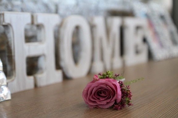 dekorasjon, hjem, interiør, interiør, interiørdesign, rosa, steg, romantikk, roser, blomst