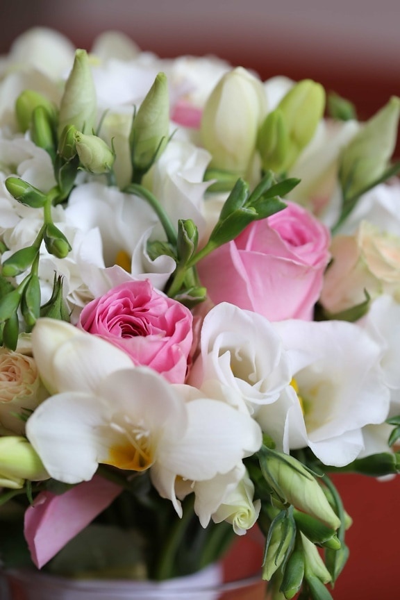 ช่อดอกไม้, สีพาสเทล, ดอกกุหลาบ, ดอกไม้สีขาว, ดอกไม้, จัดเรียง, โรแมนติก, ธรรมชาติ, ความรัก, ตกแต่ง