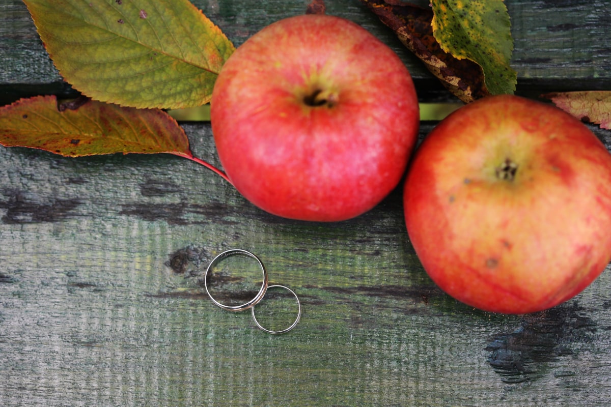 τα μήλα, Φθινόπωρο σεζόν, δαχτυλίδια, Ρομαντικό, δαχτυλίδι γάμου, μήλο, υγιεινή, βιταμίνη, φρέσκο, τροφίμων