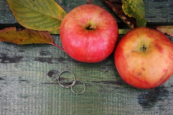 pommes, saison de l'automne, anneaux, romantique, bague de mariage, pomme, en bonne santé, vitamine, frais, alimentaire