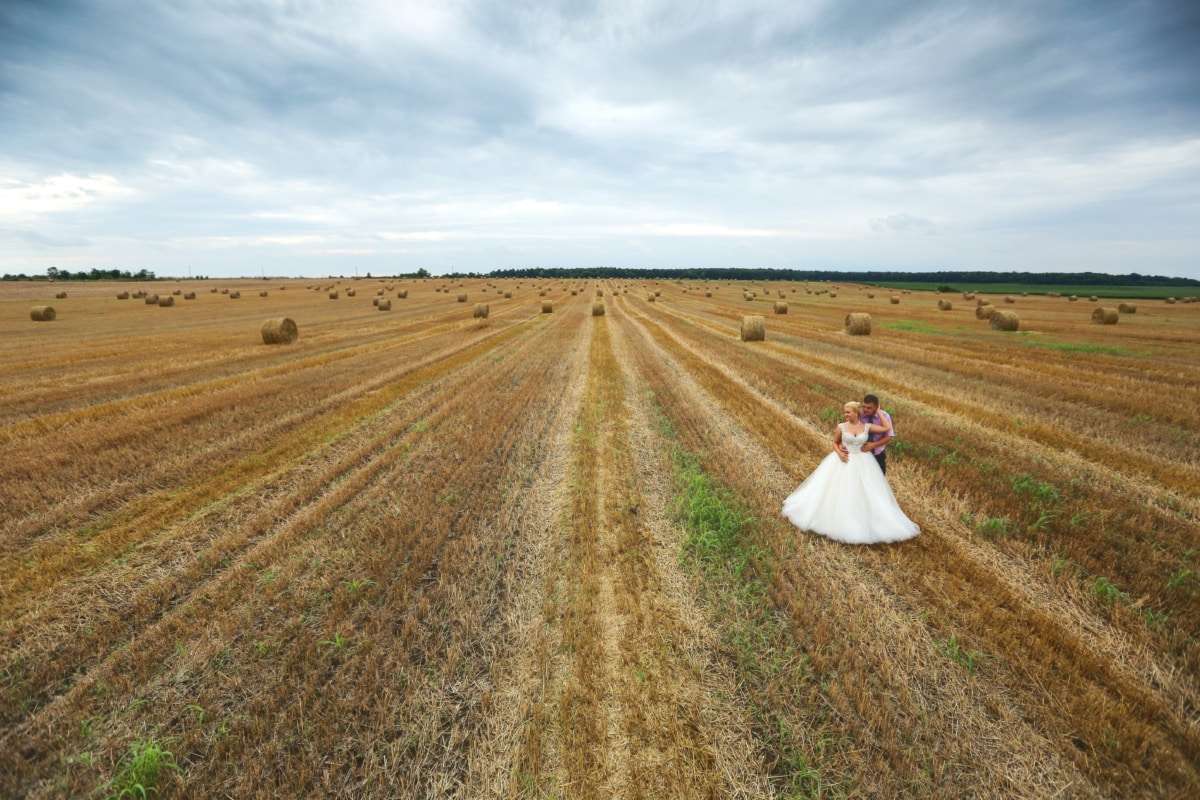 landbruk, bruden, kjole, høy, høfelt, mann, romantisk, bryllup, landlig, landskapet