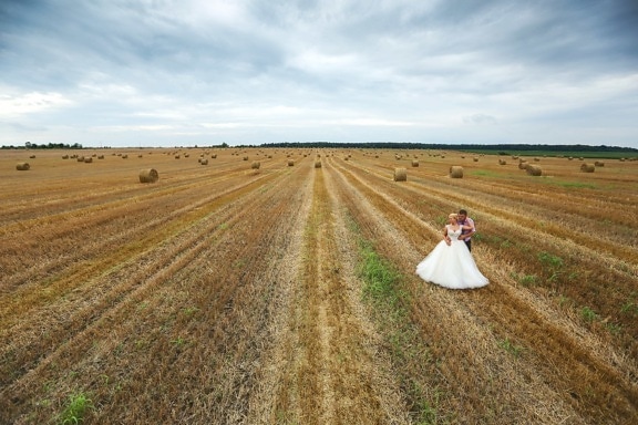 agriculture, bride, dress, hay, hay field, man, romantic, wedding, rural, countryside