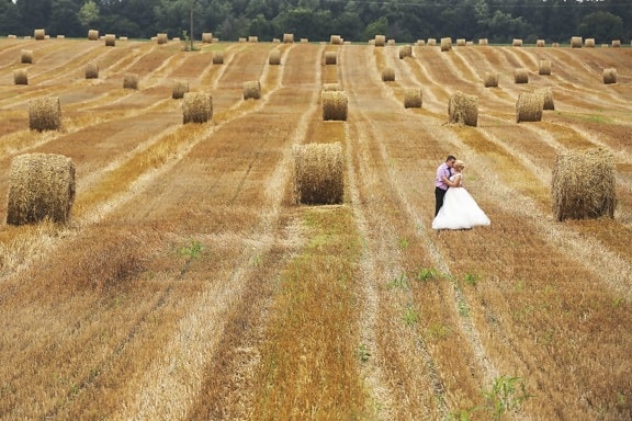 agriculture, hay field, hug, kiss, knoll, love, romantic, bale, countryside, landscape