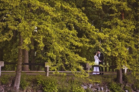 bride, fashion, forest road, groom, man, pretty girl, romance, spring time, style, park