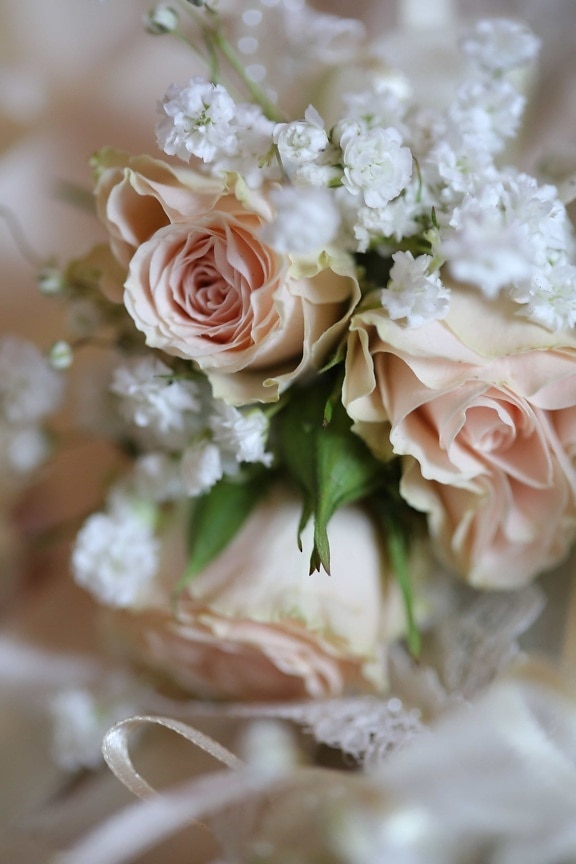 bukett, pastell, romantikk, symbolet, bryllup bukett, hvit, roser, blomster, kjærlighet, dekorasjon