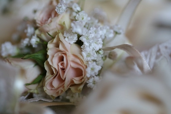 λεπτομέρεια, λουλούδια, τριαντάφυλλα, μετάξι, σύμβολο, γαμήλια ανθοδέσμη, ρύθμιση, τριαντάφυλλο, λουλούδι, μπουκέτο
