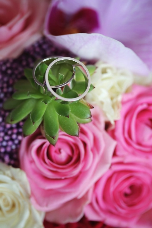 cacto, perto, metálico, platina, buquê de casamento, anel de casamento, buquê, decoração, flor, rosas