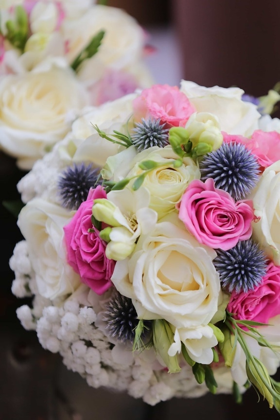 cluster, decorativi, regalo, romantica, Rose, bouquet da sposa, decorazione, amore, fiore, bouquet