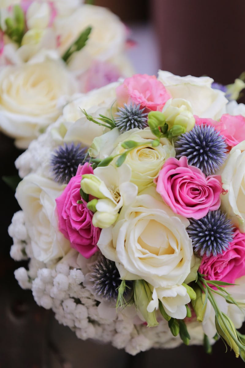 cluster, decorative, gift, romantic, roses, wedding bouquet, decoration, love, flower, bouquet