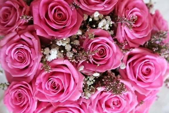 pink, roses, wedding bouquet, yarrow, petal, bouquet, flower, romance, marriage, wedding