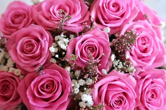 周年記念, パステル, ピンク, ウェディングブーケ, 結婚式, ローズ, 愛, 結婚, 花, 花束
