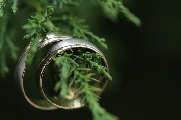занаят, скъпо, ръчно изработени, лукс, пръстени, венчален пръстен, билка, растителна, листа, иглолистни
