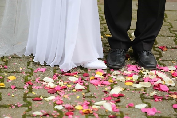 ceremonia de, pantalones, pavimento, pétalos de, rosas, Cordon de zapato, falda, caminando, boda, vestido de novia