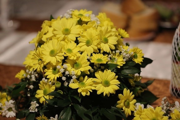 flowers, greenish yellow, interior decoration, still life, yellow leaves, flower, plant, nature, garden, blossom