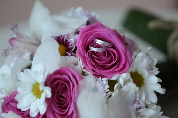 bižuterie, svatba, svatební kytice, snubní prsten, dekorace, květ, růže, růže, uspořádání, láska