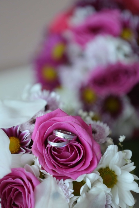 marriage, ritual, tradition, wedding bouquet, wedding ring, rose, arrangement, pink, bouquet, decoration