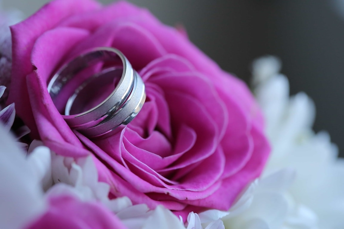 Free picture: close-up, elegance, platinum, wedding, wedding bouquet ...