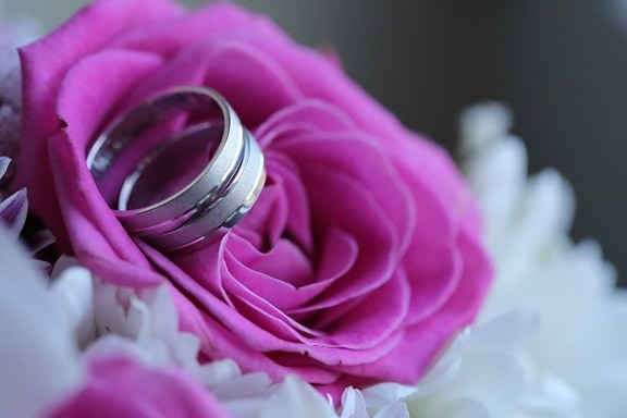 close-up, elegance, platinum, wedding, wedding bouquet, wedding ring, pink, petal, flower, marriage