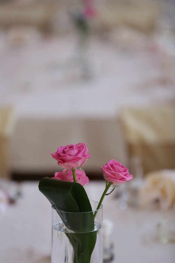 glas, rosor, bordsduk, tre, vas, vatten, knopp, blomma, blommor, rosa