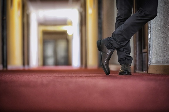 businessperson, fashion, hallway, hotel, legs, pants, red carpet, shoes, leg, man