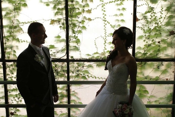 bride, happiness, husband, joy, man, pretty girl, silhouette, smile, suit, together