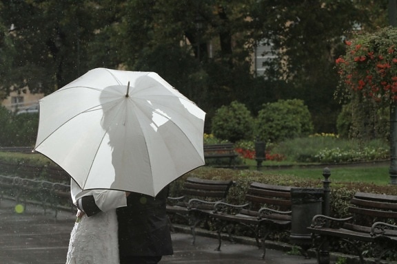 bride, garden, hug, kiss, rain, romantic, umbrella, wedding dress, people, weather