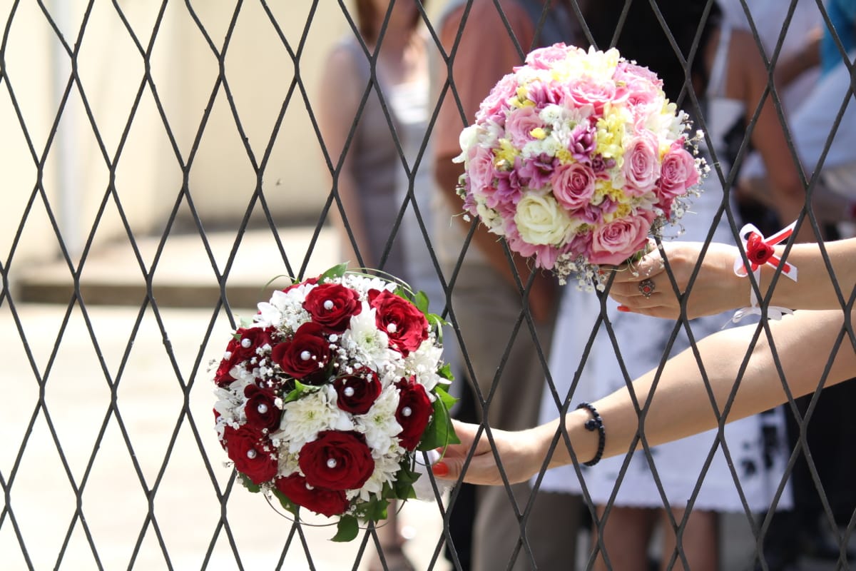 натовп, паркан, руки, проведення, весільний букет, квітка, Троянда, літо, весілля, природа