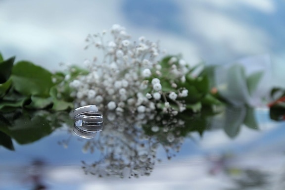 бижута, метални, платина, отражение, пръстени, венчален пръстен, билка, околна среда, прозрачен, цвете