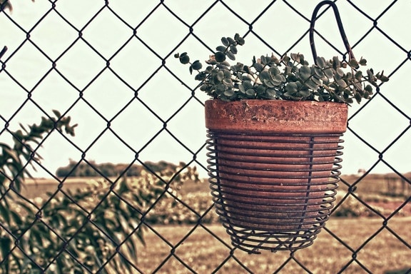flowerpot, flowers, terracotta, wires, fence, iron, barrier, wire, cage, steel