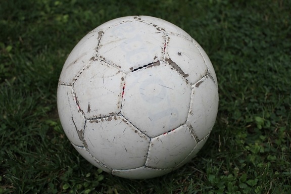 football, ball, lawn, soccer, grass, leather, game, sport, equipment, soccer ball