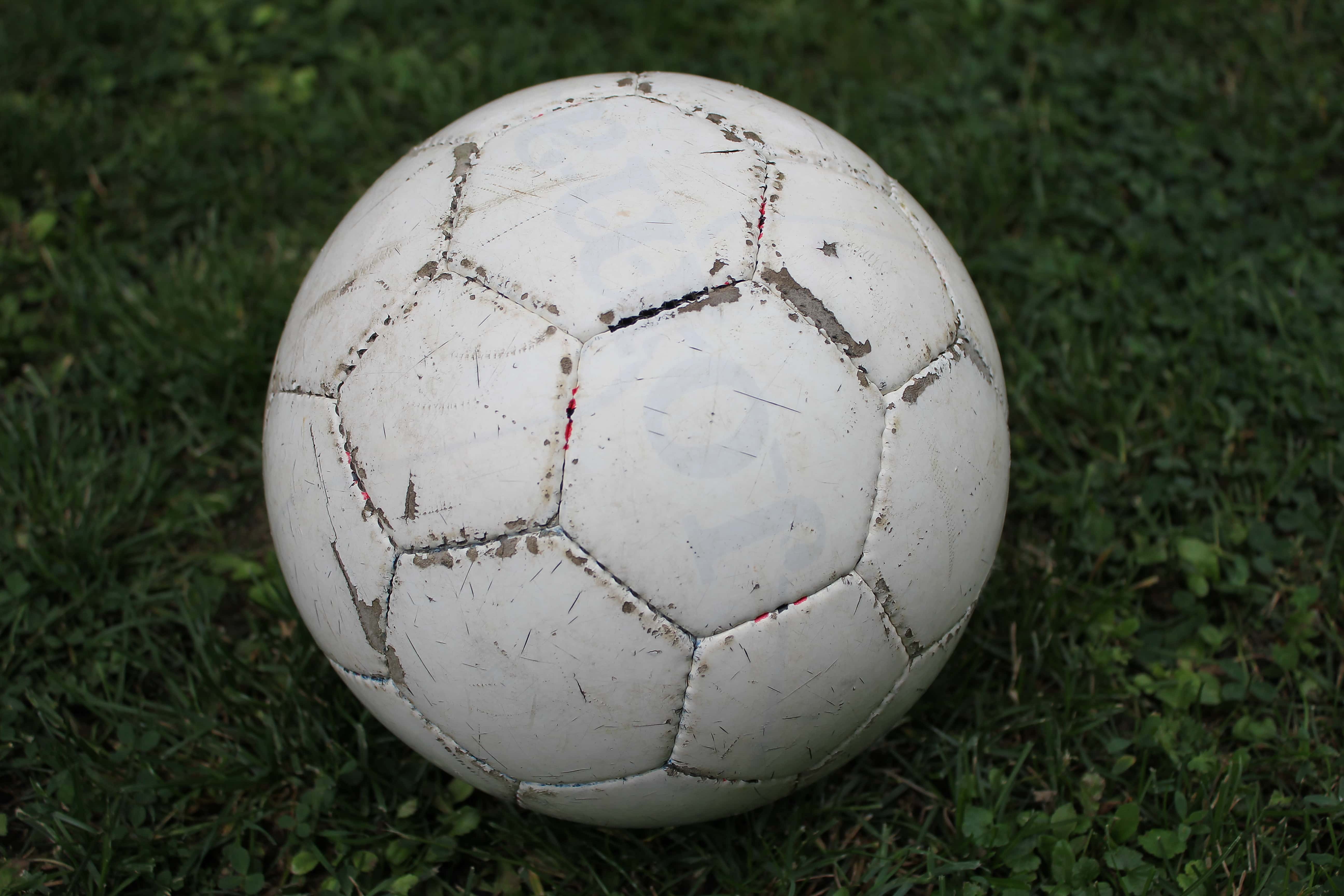 Free picture: football, ball, lawn, soccer, grass, leather, game, sport, equipment, soccer ball