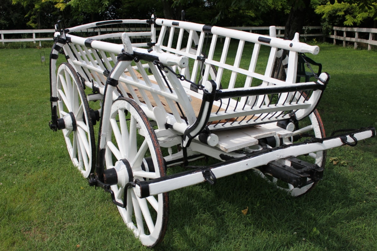 carriage, village, backyard, wheel, grass, recreation, equipment, park, vehicle, cart