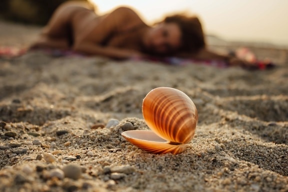 prekrasna, ležanje, foto model, lijepa djevojka, plaža, morska školjka, pijesak, zalazak sunca, vruće, priroda