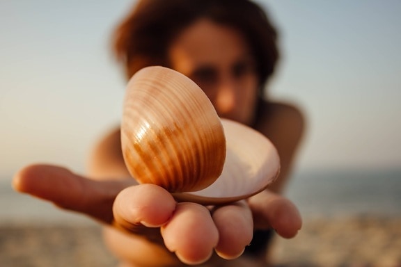 seashell, photo model, young woman, beach, relaxing, sunshine, summer season, woman, sand, blur