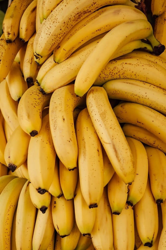 banana, fruit, organic, close-up, yellow, food, tropical, produce, nature, health