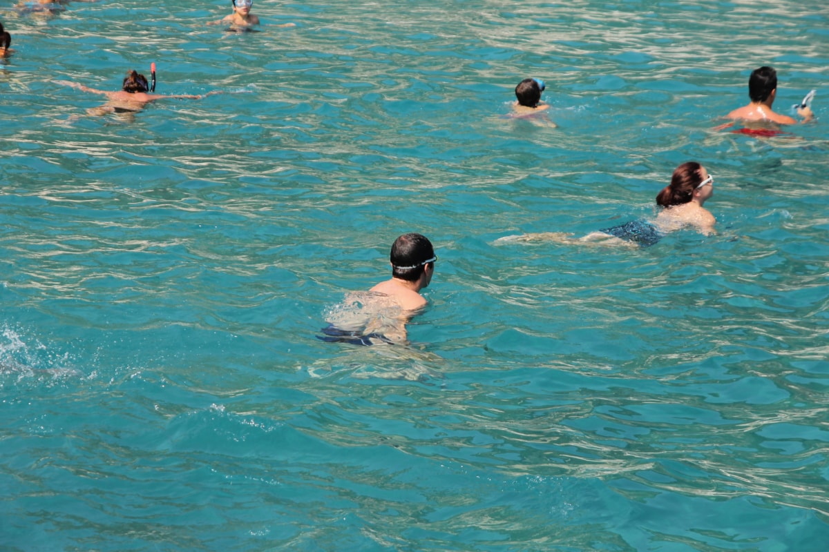 simning, simmare, poolen, Snorkel, vatten, havet, våt, rekreation, sommar, fritid