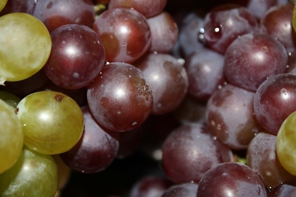 les raisins, viticulture, Détails, délicieux, alimentaire, nutrition, doux, raisin, fruits, baie