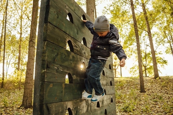 playground, climbing, child, boy, playful, hanging, old, outdoors, outdoor, autumn