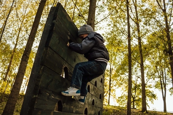 boy, playground, climbing, climber, child, forest, skateboard, trees, board, tree