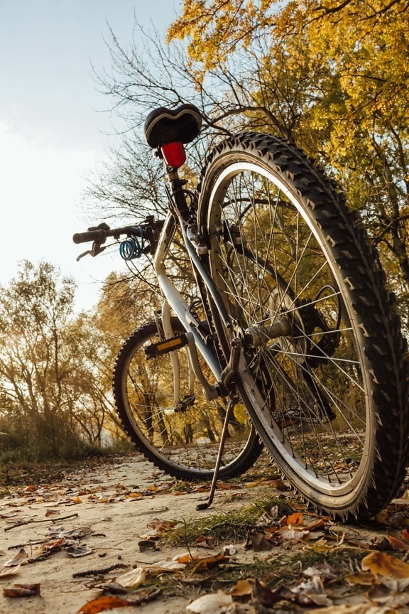 mountainbike, däck, idrott, fälgar, cykel, hjulet, cykel, fordon, enhet, kul