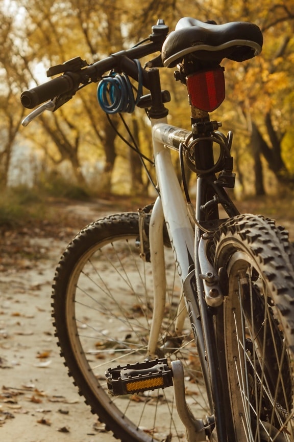 mountain bike, landscape, sport, forest road, bicycle, seat, cycling, wheel, vehicle, ride