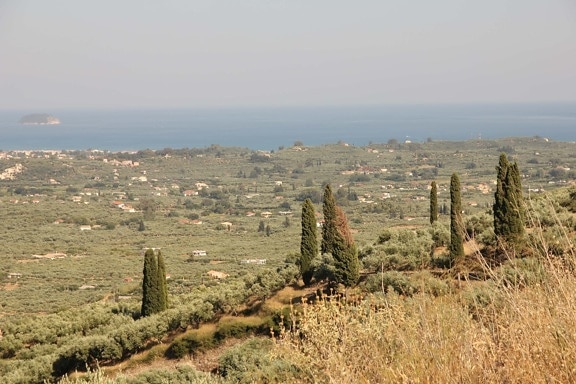 panorama, cypress, hillside, ocean, island, greece, wilderness, landscape, architecture, vineyard
