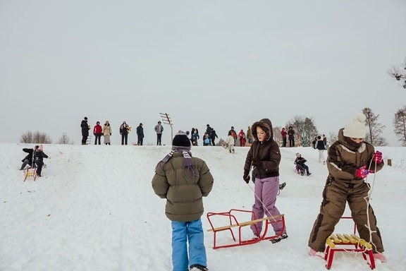 downhill, slope, sled, childhood, winter, fun, mountain, people, cold, child