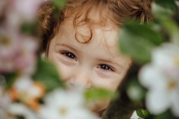 oči, dijete, portret, lice, razigrano, cvijeće, osmijeh, skrivanje, slatka, sretan