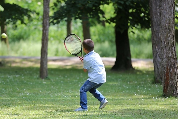 forêt, raquette de tennis, tennis, PIC-NIC, en plein air, des loisirs, Ball, raquette, sport, parc