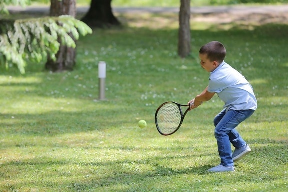 playful, playing, lawn, tennis racket, tennis, child, recreation, active, ball, racket