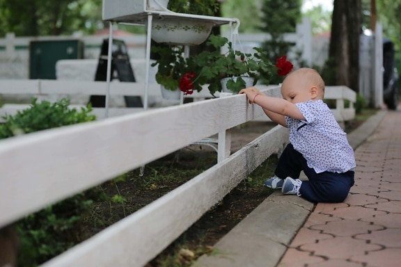 малко дете, бебе, ограда от колове, градина, дете, портрет, на открито, природата, парк, лято